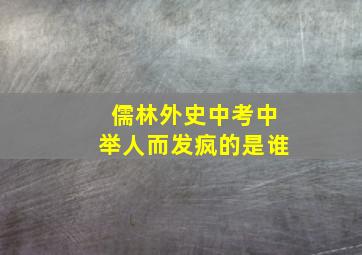 儒林外史中考中举人而发疯的是谁