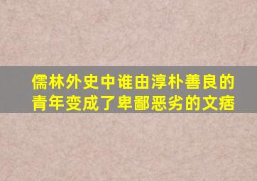 儒林外史中谁由淳朴善良的青年变成了卑鄙恶劣的文痞