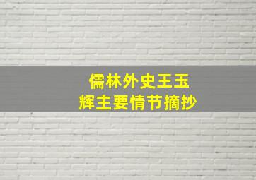 儒林外史王玉辉主要情节摘抄