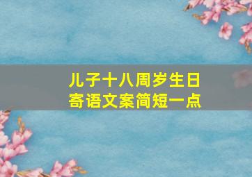 儿子十八周岁生日寄语文案简短一点