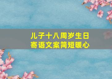 儿子十八周岁生日寄语文案简短暖心