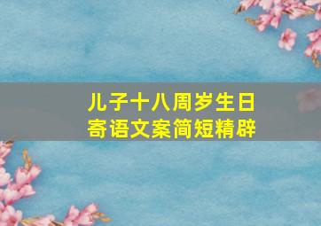 儿子十八周岁生日寄语文案简短精辟