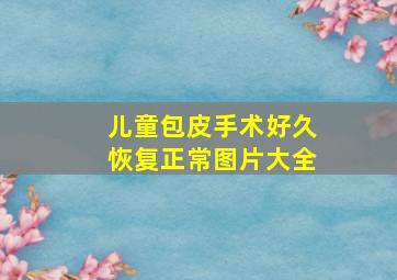 儿童包皮手术好久恢复正常图片大全