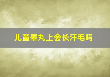 儿童睾丸上会长汗毛吗