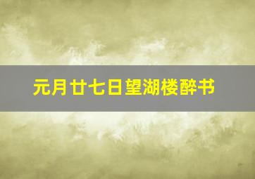 元月廿七日望湖楼醉书