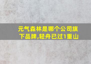 元气森林是哪个公司旗下品牌,轻舟已过1重山