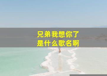 兄弟我想你了是什么歌名啊