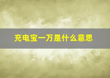 充电宝一万是什么意思