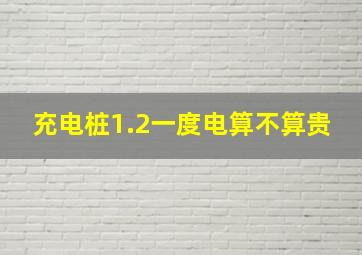 充电桩1.2一度电算不算贵