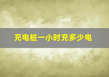 充电桩一小时充多少电