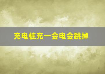 充电桩充一会电会跳掉