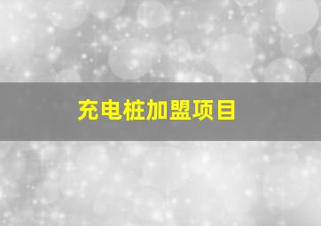 充电桩加盟项目