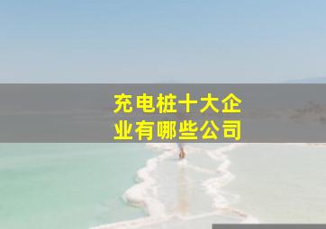 充电桩十大企业有哪些公司