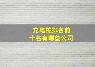 充电桩排名前十名有哪些公司