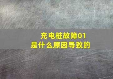 充电桩故障01是什么原因导致的