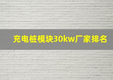 充电桩模块30kw厂家排名