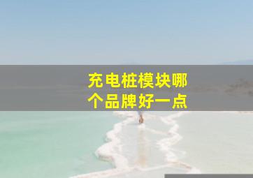 充电桩模块哪个品牌好一点