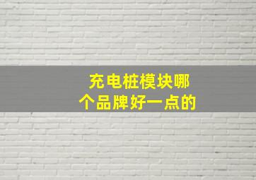 充电桩模块哪个品牌好一点的