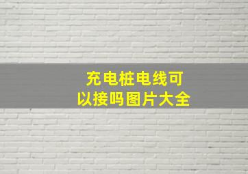 充电桩电线可以接吗图片大全