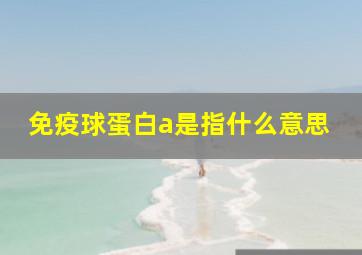 免疫球蛋白a是指什么意思