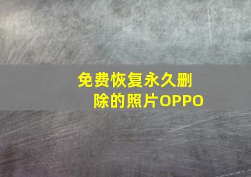 免费恢复永久删除的照片OPPO