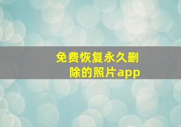 免费恢复永久删除的照片app