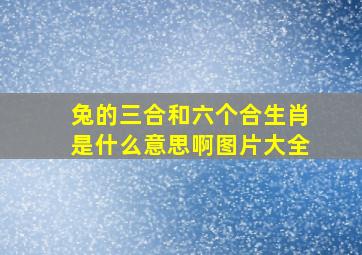 兔的三合和六个合生肖是什么意思啊图片大全