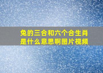 兔的三合和六个合生肖是什么意思啊图片视频