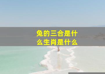 兔的三合是什么生肖是什么