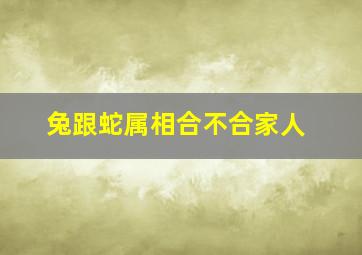 兔跟蛇属相合不合家人