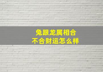 兔跟龙属相合不合财运怎么样