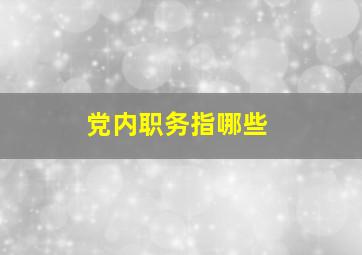 党内职务指哪些