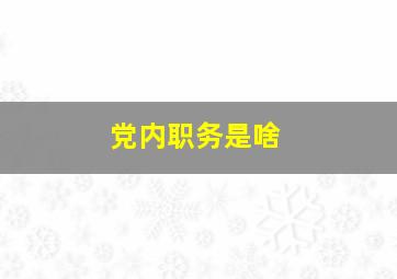 党内职务是啥