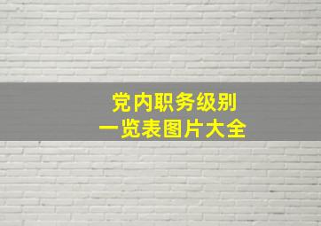 党内职务级别一览表图片大全