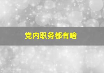 党内职务都有啥