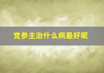 党参主治什么病最好呢