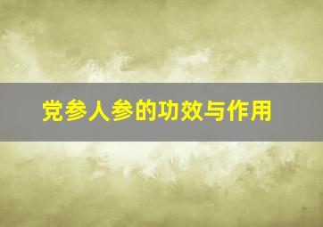 党参人参的功效与作用