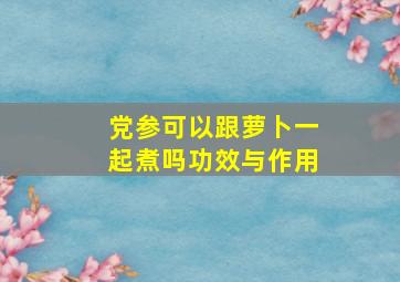 党参可以跟萝卜一起煮吗功效与作用