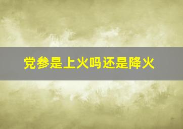 党参是上火吗还是降火