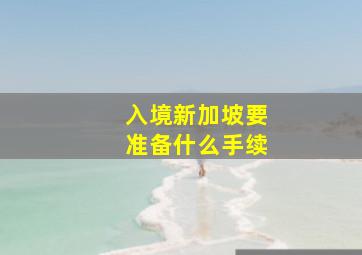 入境新加坡要准备什么手续