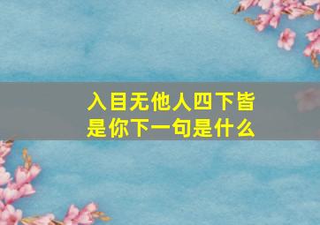 入目无他人四下皆是你下一句是什么