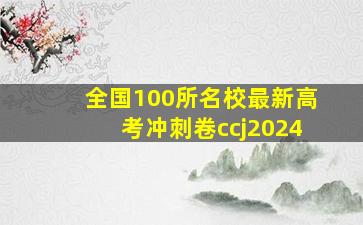 全国100所名校最新高考冲刺卷ccj2024