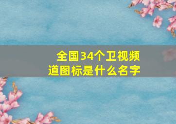 全国34个卫视频道图标是什么名字