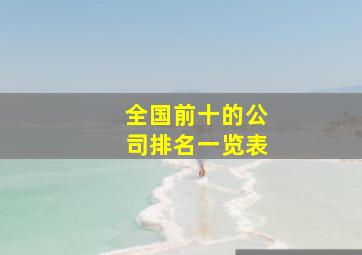 全国前十的公司排名一览表