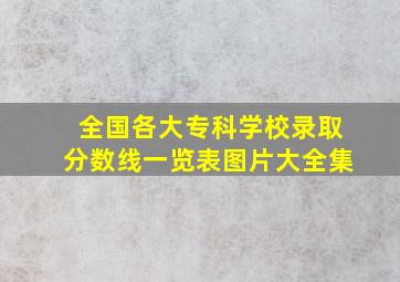 全国各大专科学校录取分数线一览表图片大全集