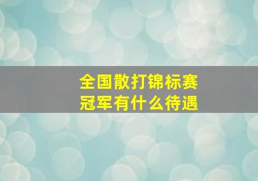 全国散打锦标赛冠军有什么待遇