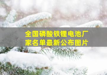 全国磷酸铁锂电池厂家名单最新公布图片