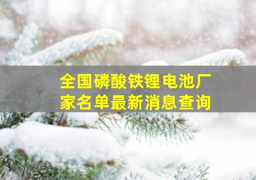 全国磷酸铁锂电池厂家名单最新消息查询