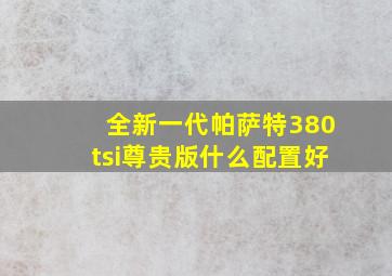 全新一代帕萨特380tsi尊贵版什么配置好