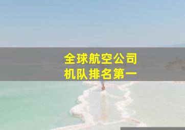 全球航空公司机队排名第一